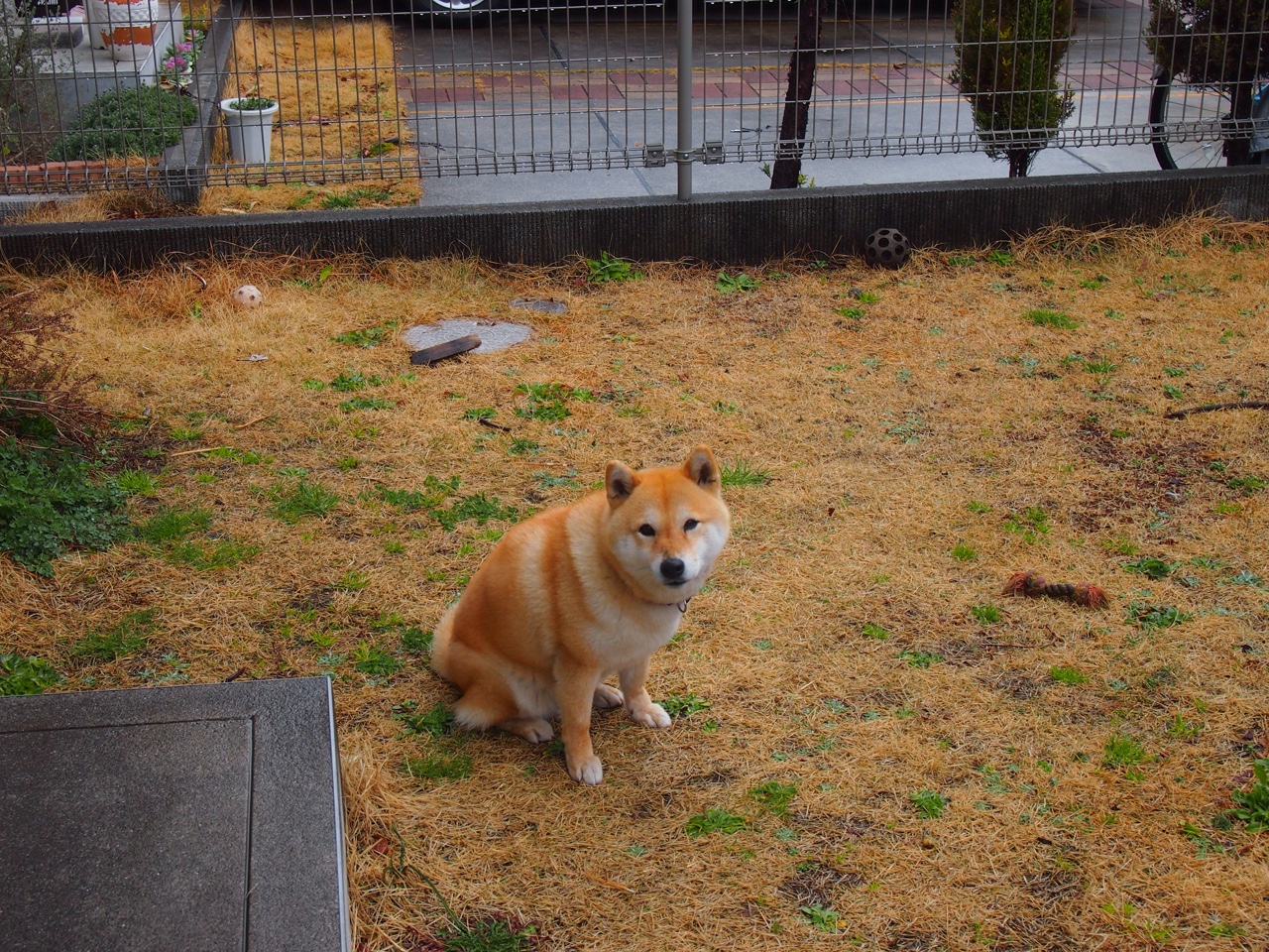 佩德里独舞，当安菲尔德成为他一个人的舞台